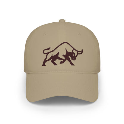 Low Profile Baseball Cap